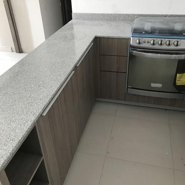 墨西哥公寓楼台面板工程