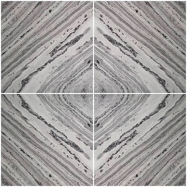 Butterfly Grey